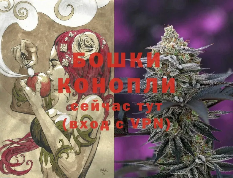 купить наркотик  Дивногорск  Каннабис SATIVA & INDICA 